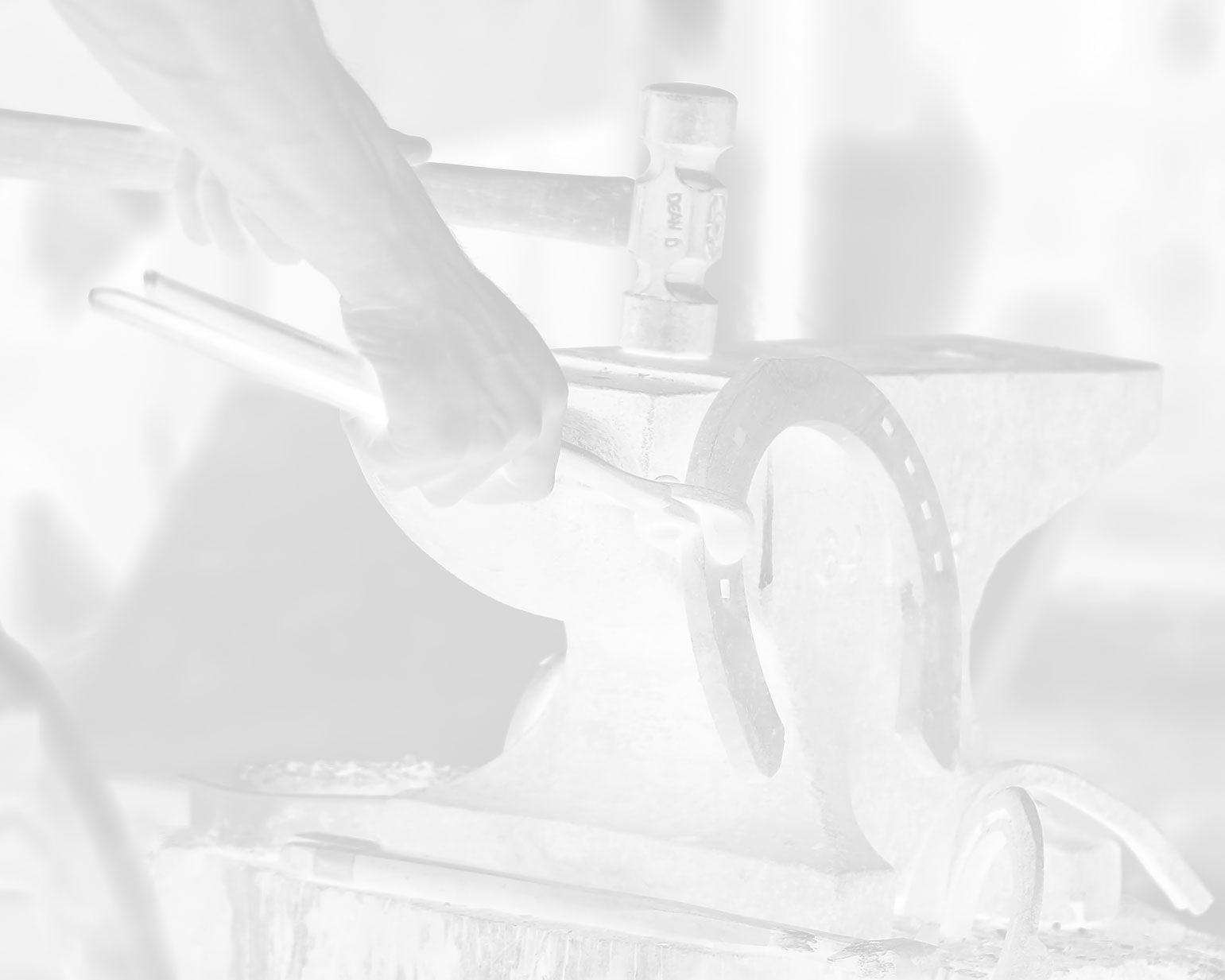 Marcus Unterberg - Der mobile Hufschmied aus Düsseldorf