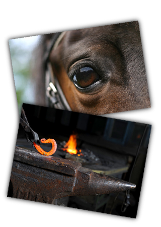 Marcus Unterberg - Der mobile Hufschmied aus Düsseldorf